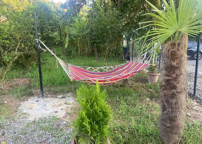 Cottage Lemons In Gonio